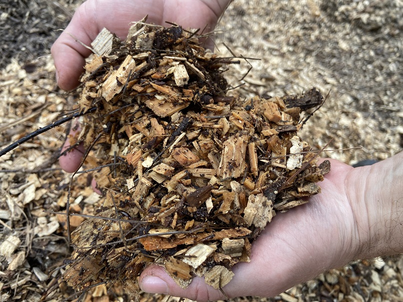 What’s the Deal with Mulch? 4 Mulches Worthy of Consideration Brookgreen